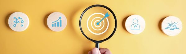 Stratégie d’affaire et création de valeur : Analyse, planification, gestion et exécution stratégique